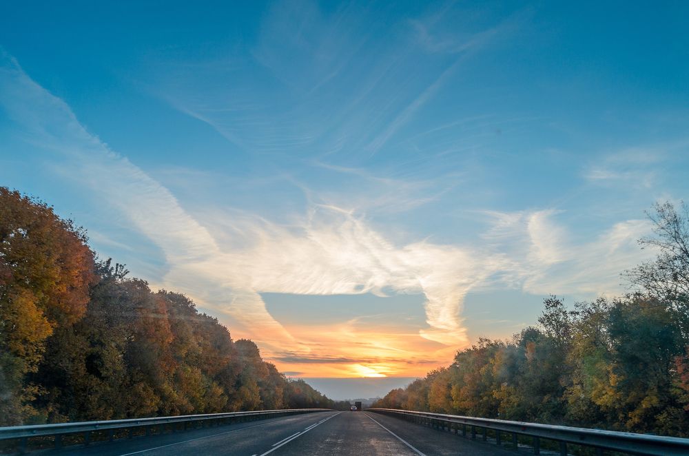 Утро в дороге