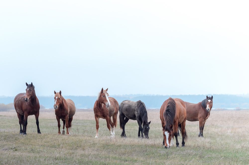 Photograph by Павел Игошин