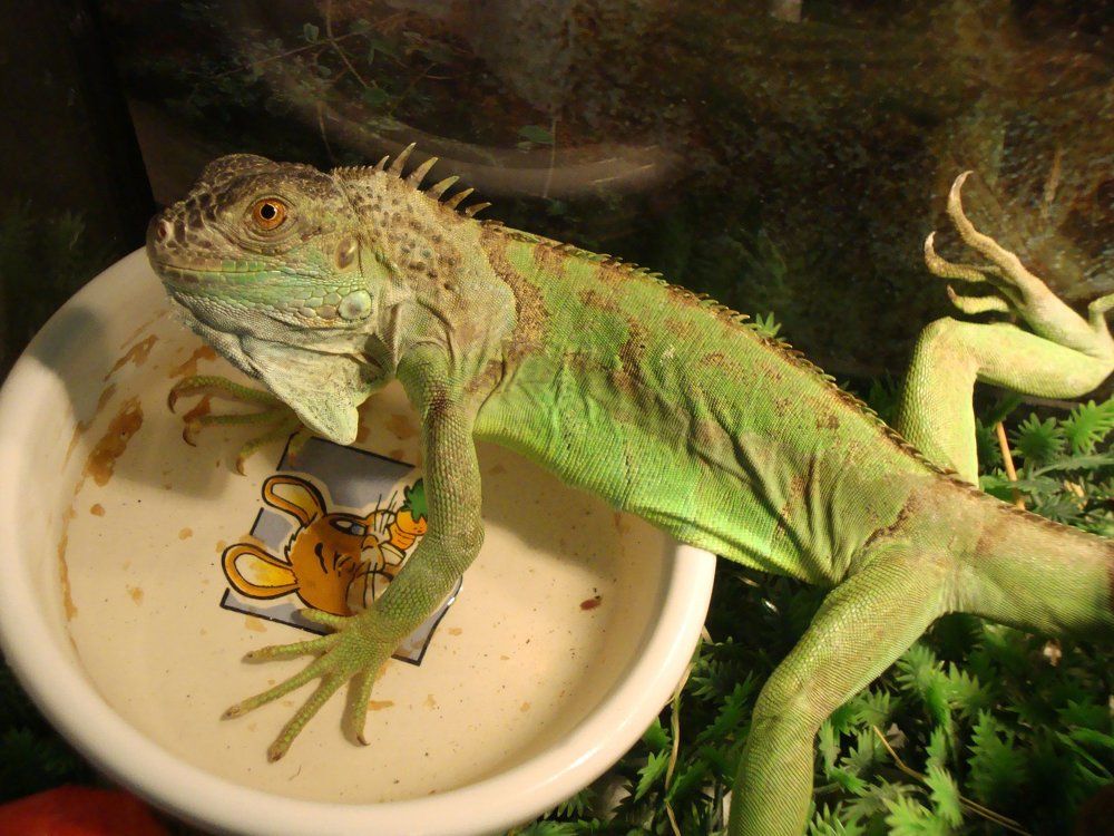 Фотография автора Неровнова Анастасия