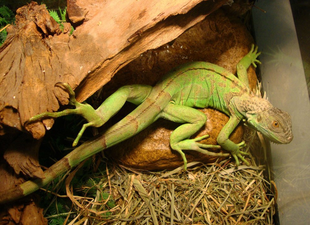 Фотография автора Неровнова Анастасия