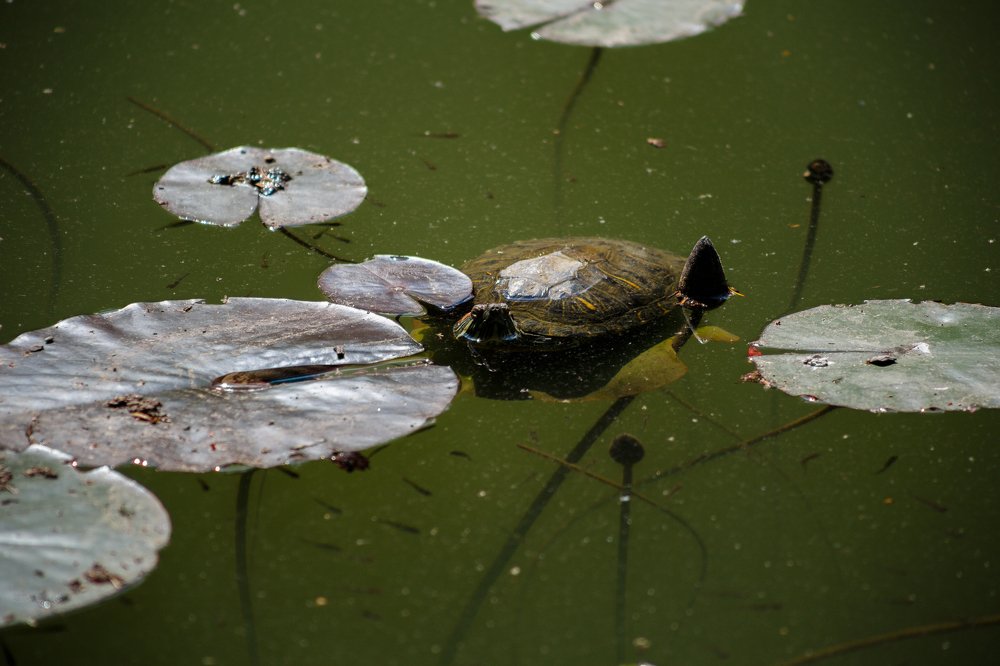 Древнее озеро.