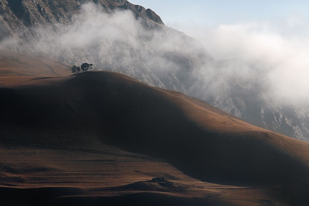 Гармония утра