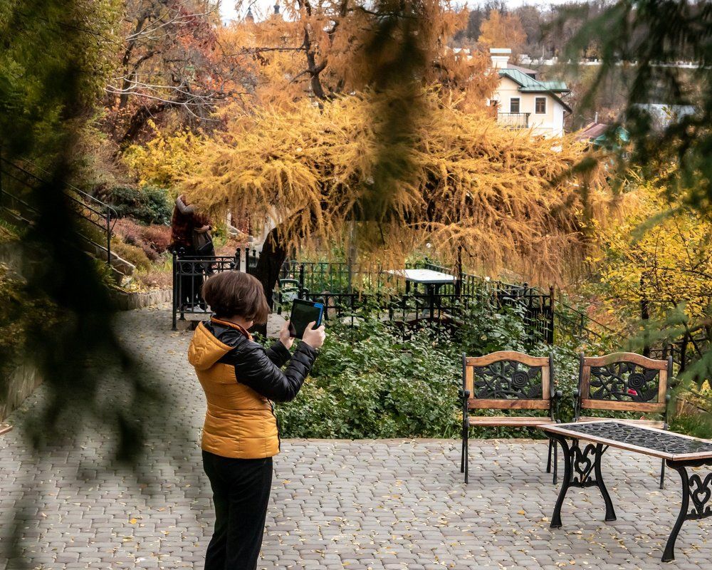 Выбирая сюжет