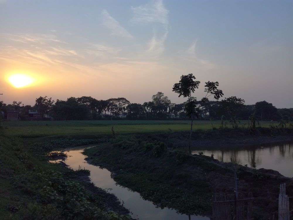 sunset