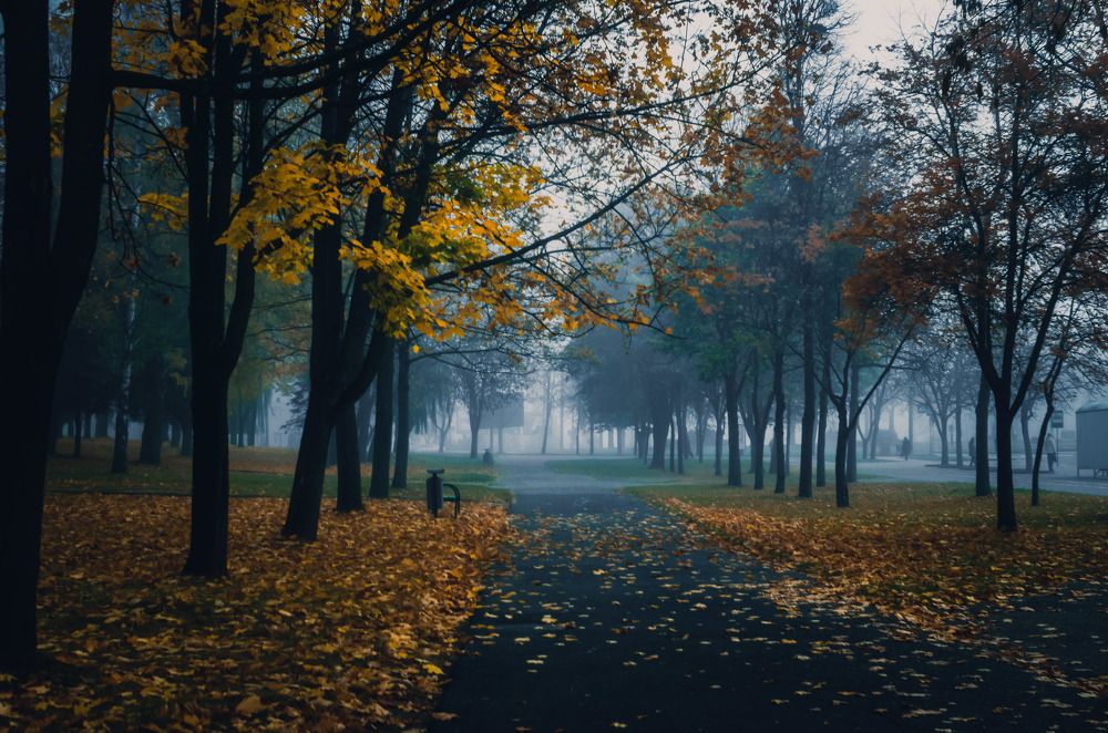 Photograph by Евгений Новицкий