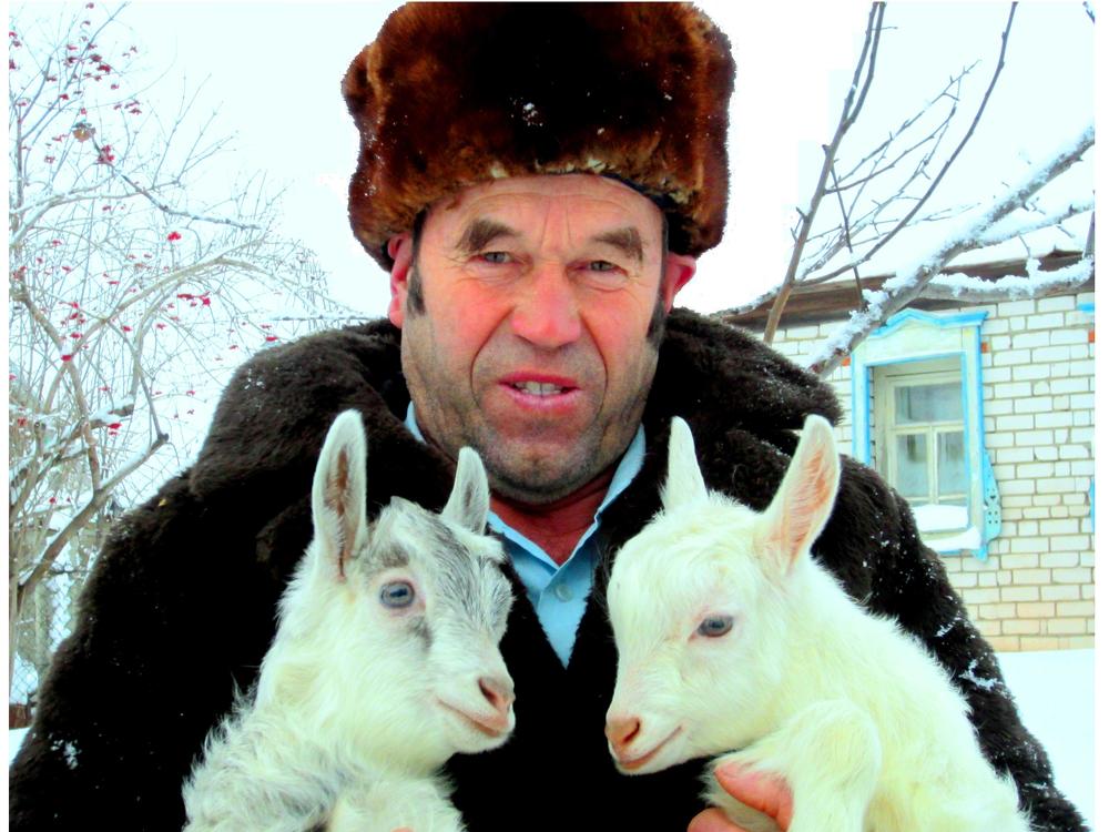 СЕЛЬСКАЯ МОЯ РАДОСТЬ!