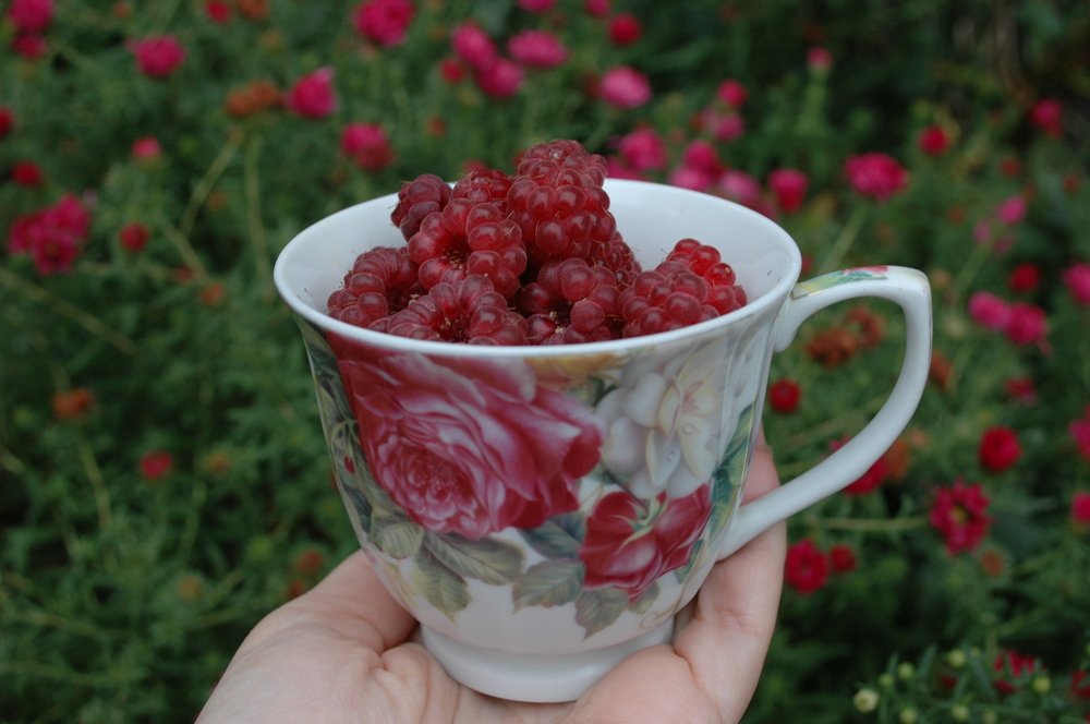 Photograph by Ирина Марченко