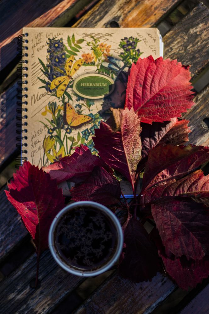 Photograph by Ростислав Иващенко