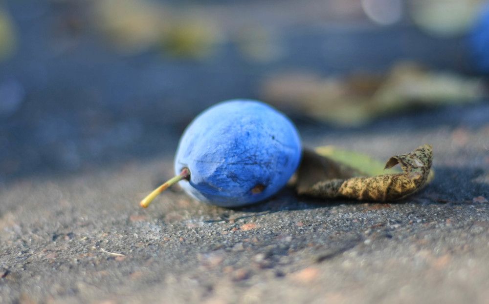 Осенние тона