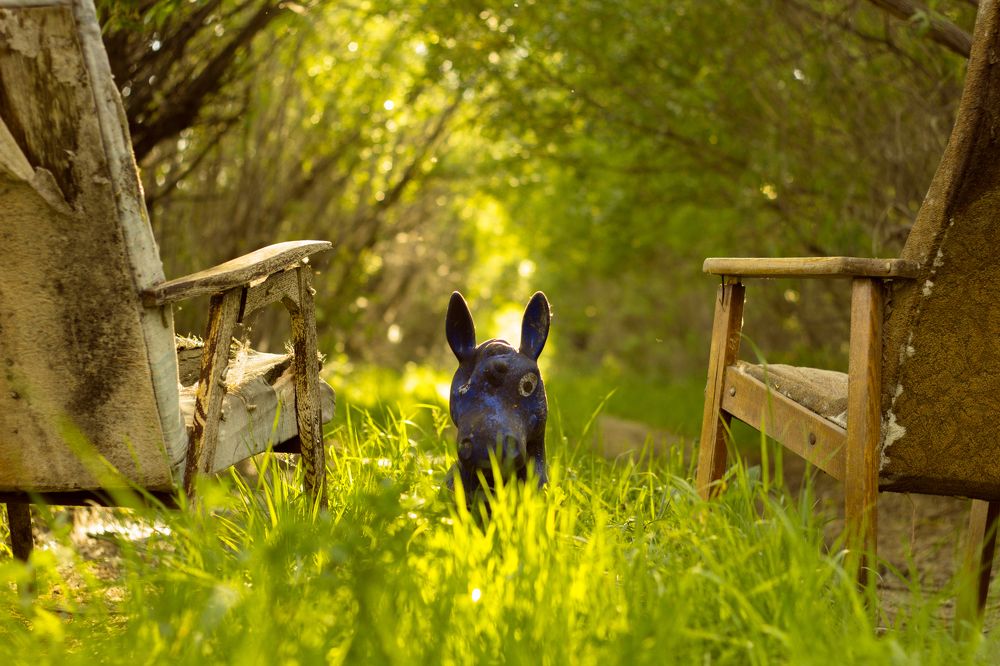 Дух надвигающейся зимы