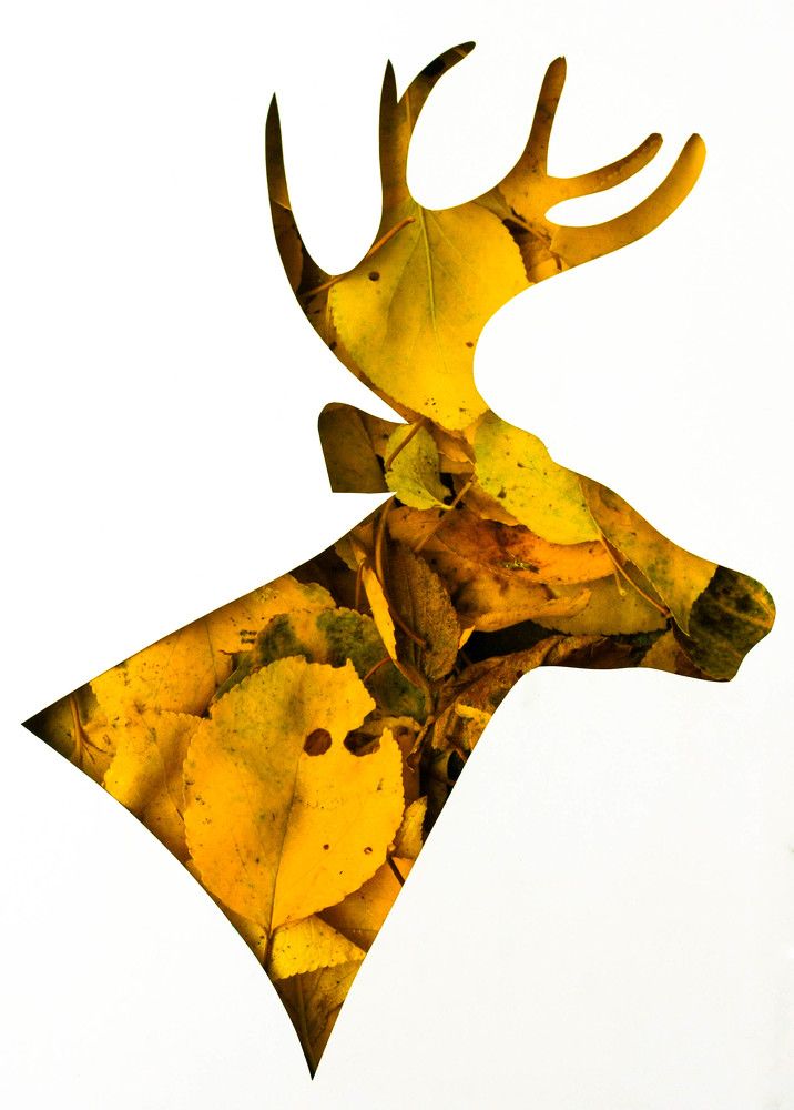 Симфония погибели