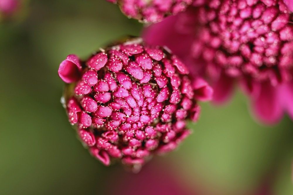 осенняя яркость