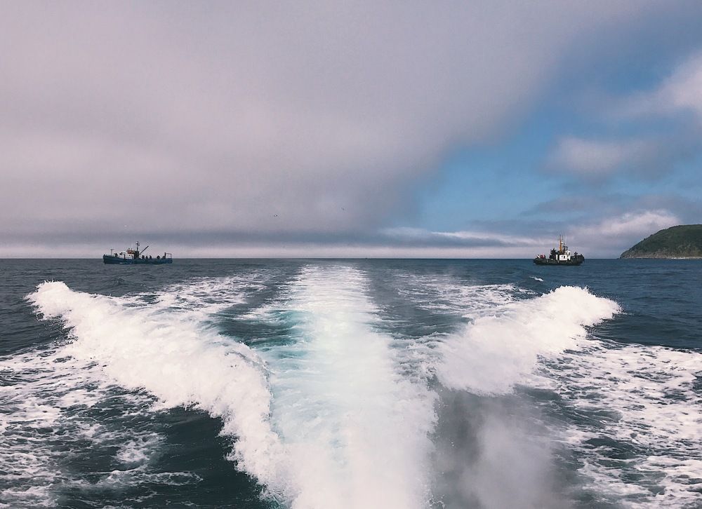 Ребята, вам гол!