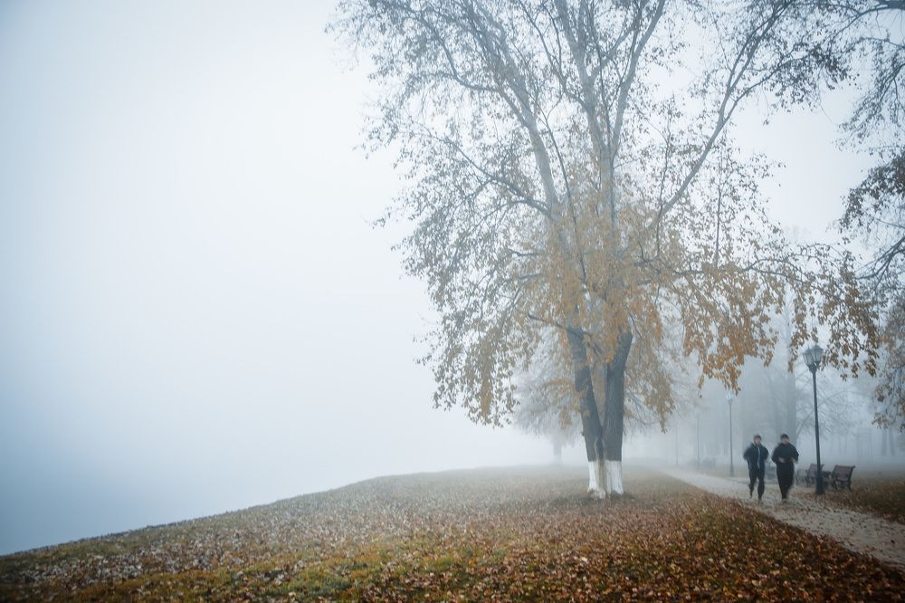 октябрь.  туман