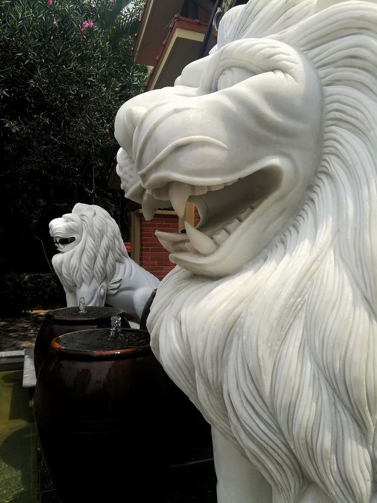 The Twin Lions of Cat Ba Island