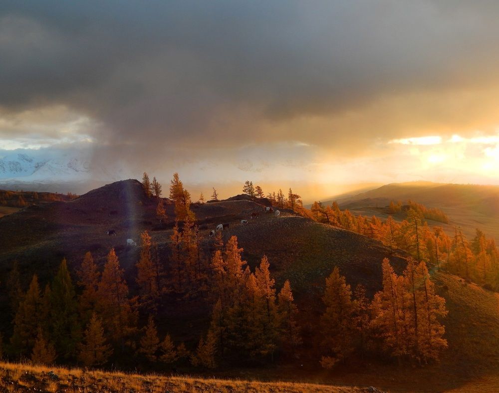 Photograph by Анастасия