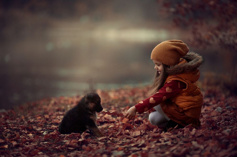 Photograph by Макаркина Регина