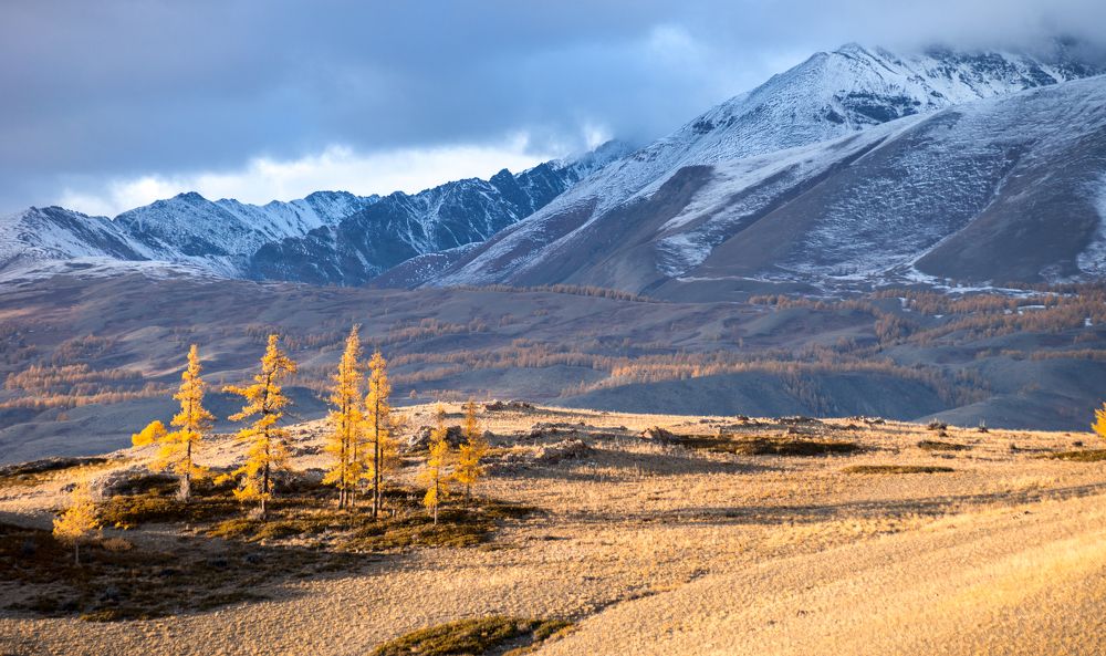 Путешествие по Алтаю
