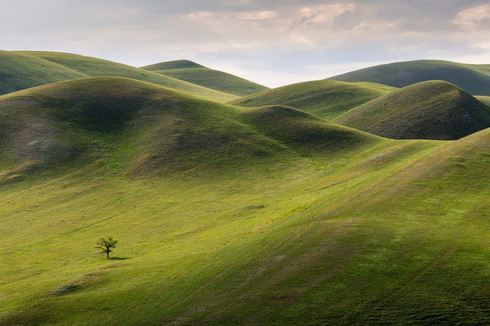 Photograph by Yevgeny Anatolyevich