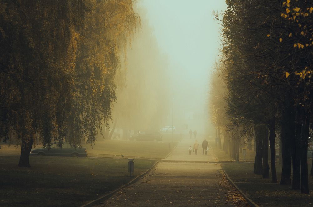 Photograph by Евгений Новицкий