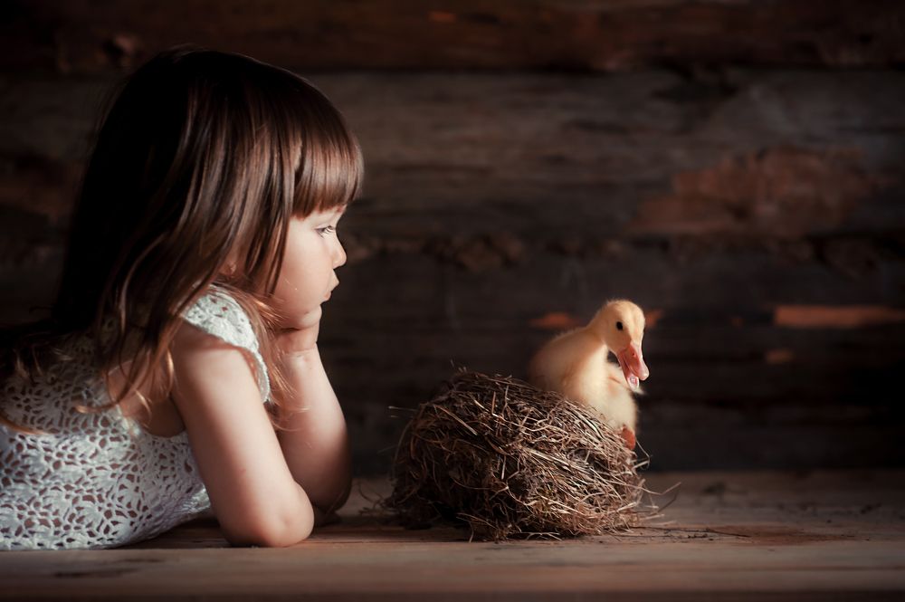 Photograph by Анастасия Селезнева