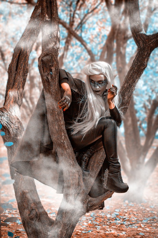 Тёмный Эльф