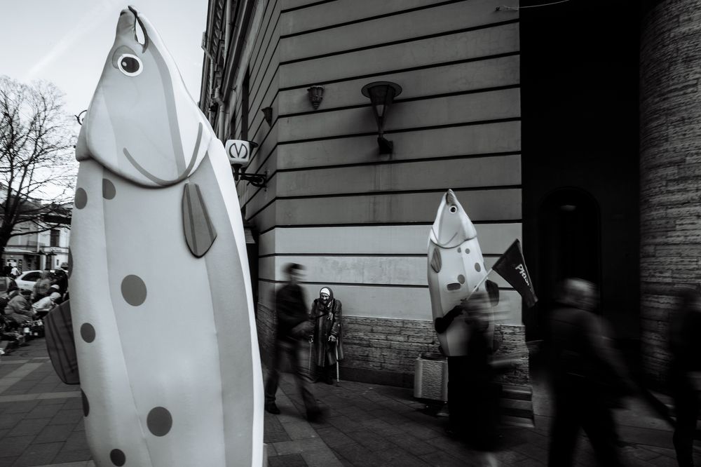 Про людей и рыб.