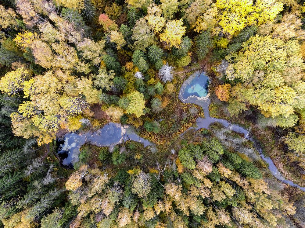 Photograph by Александр Абросимов