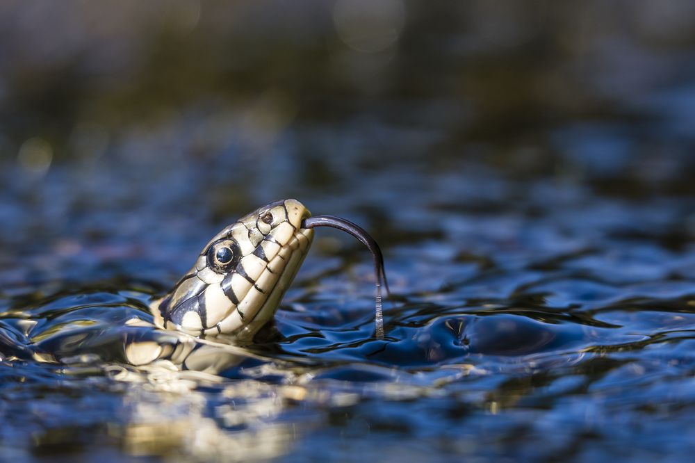Photograph by Александр Абросимов