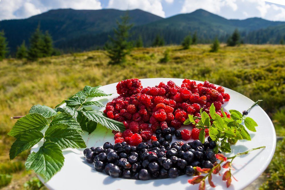 Мармаросские дары