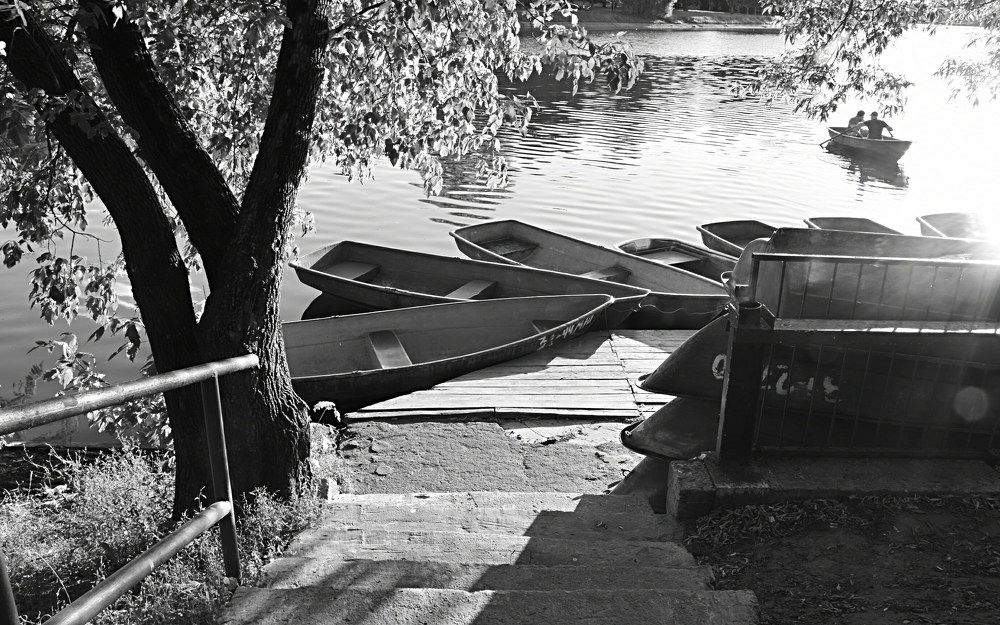 Lake