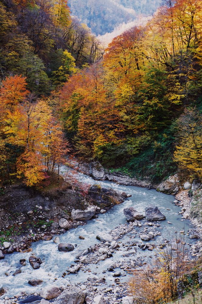 Golden Autumn in Azerbaijan