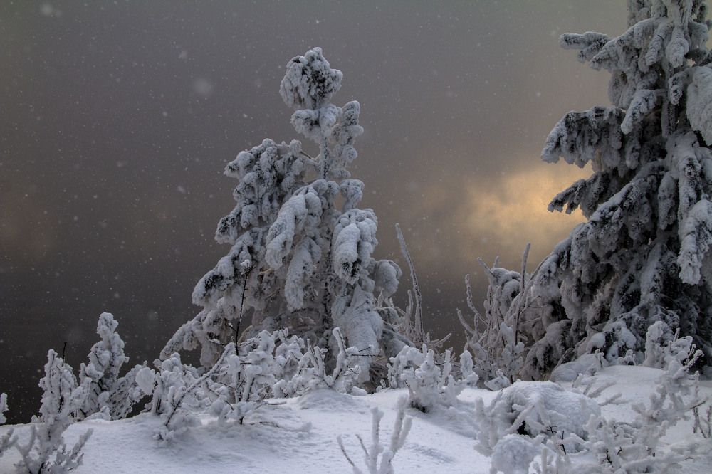 Зимняя сказка