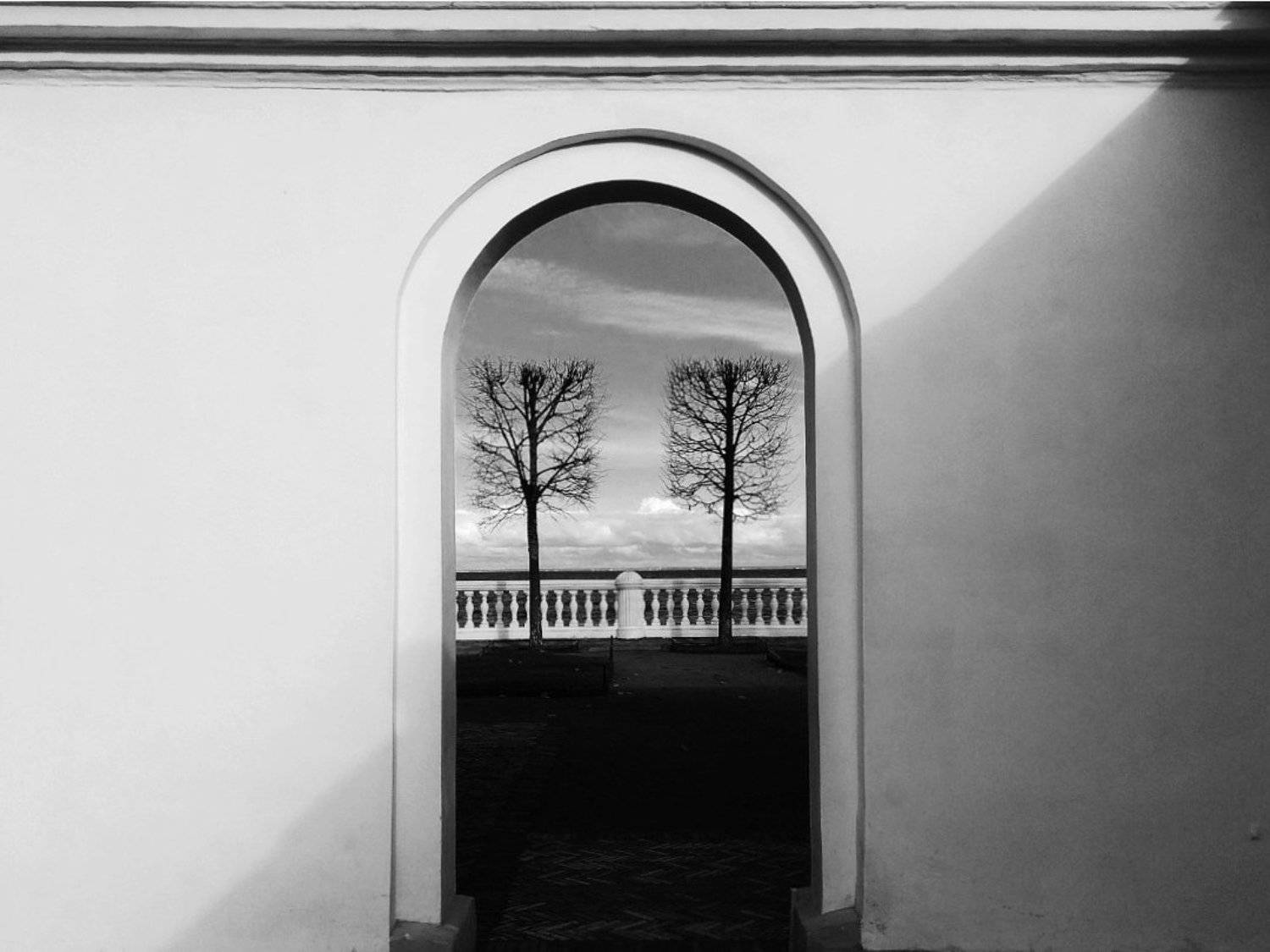 Photo #2637807