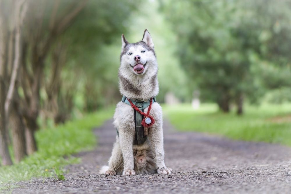 Фотография автора Мария Яропольская
