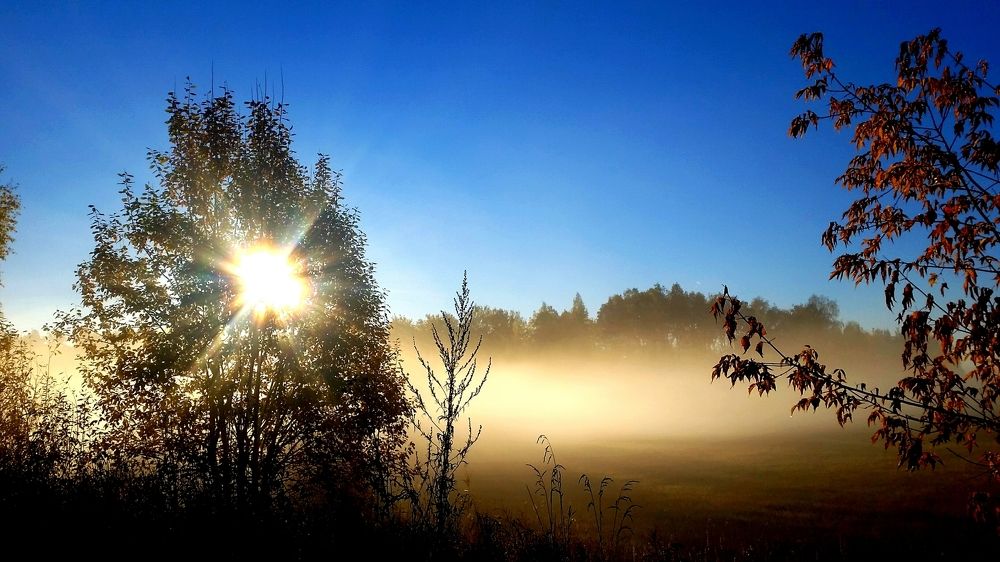 Утренний туман