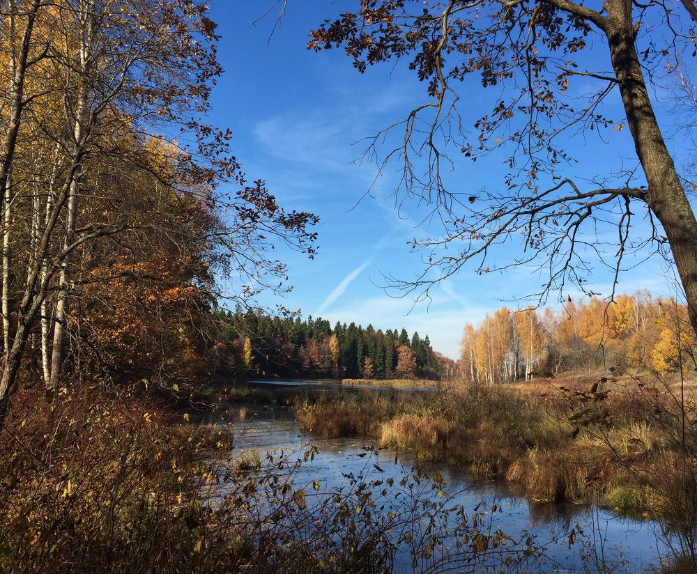 Осень в усадьбе Абрамцево