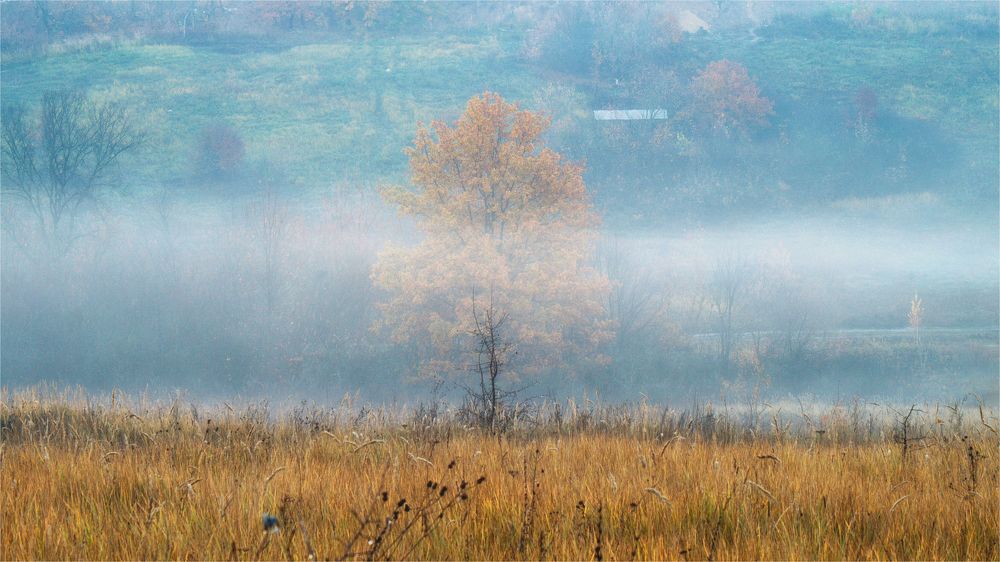Осеннее утро