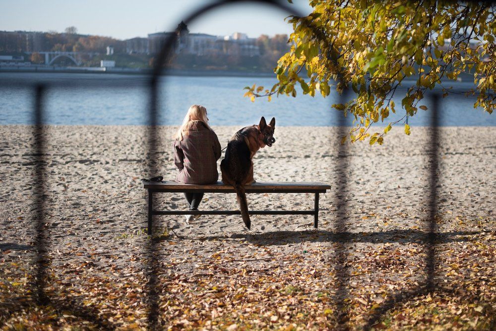 Верный друг