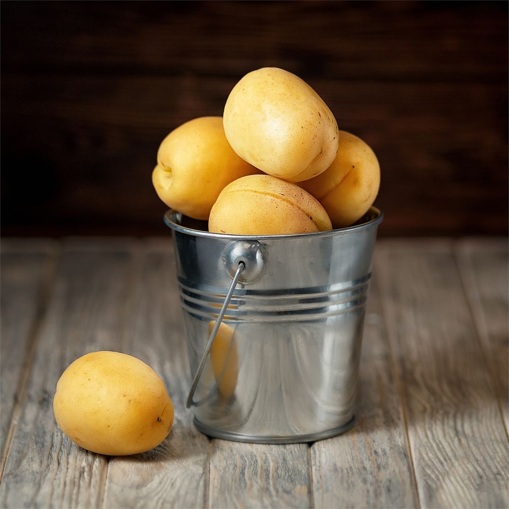 Ведро абрикос