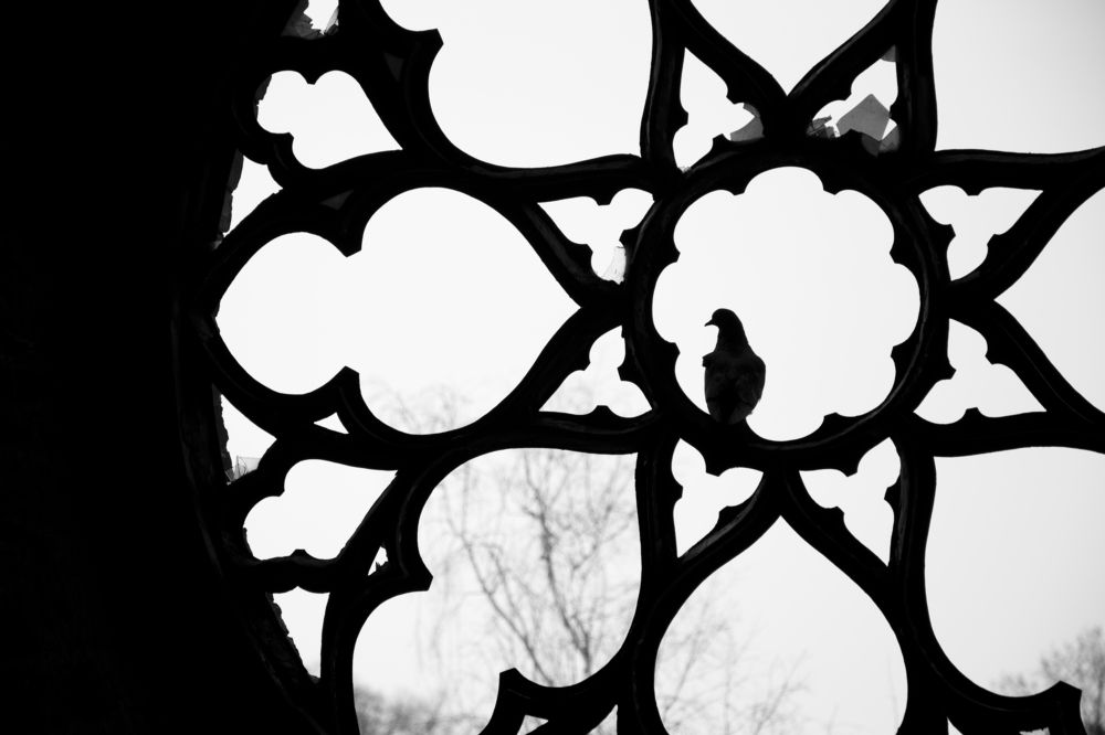 Photograph by Ирина Волкова