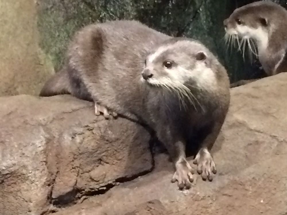 Photograph by Gemma Dez La Lour