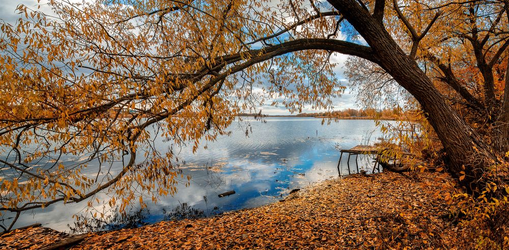 Рыбацкая заводь. Осень.