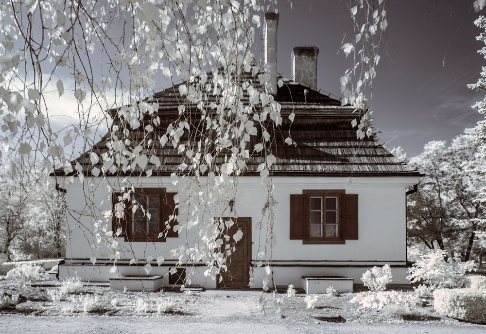 walking on the infrared