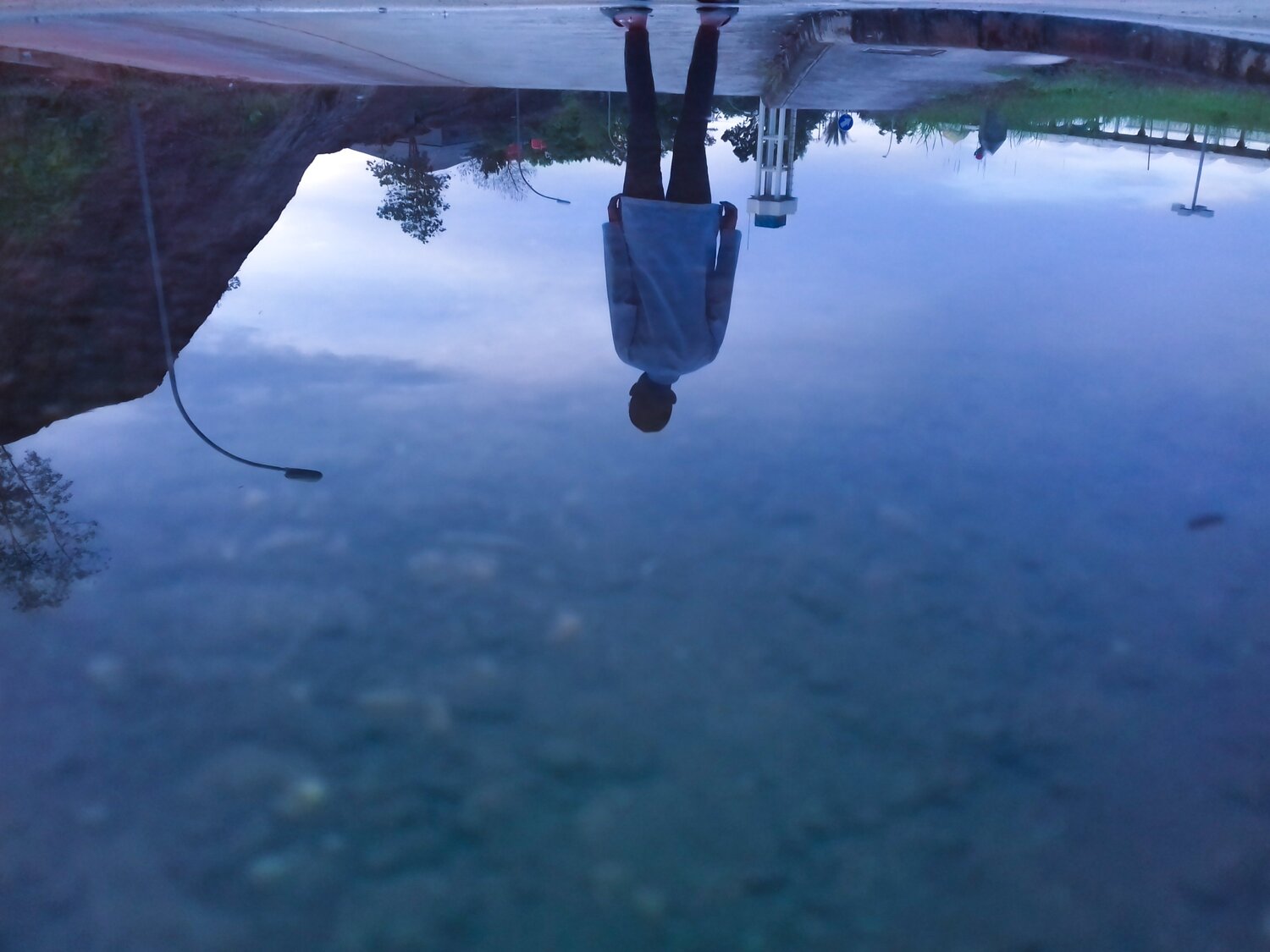 Photo #2638931