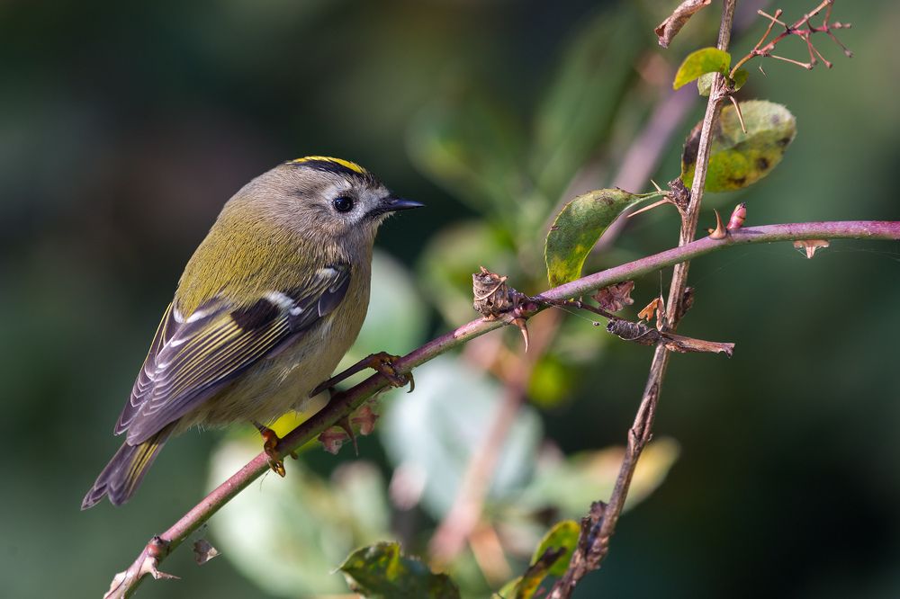 Photograph by Марина