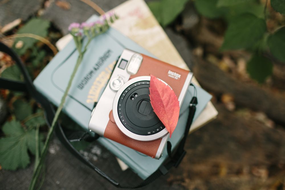 Осенняя прогулка