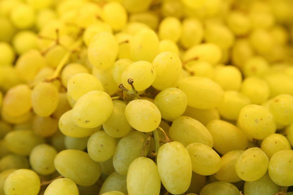 Photograph by Febin Francis