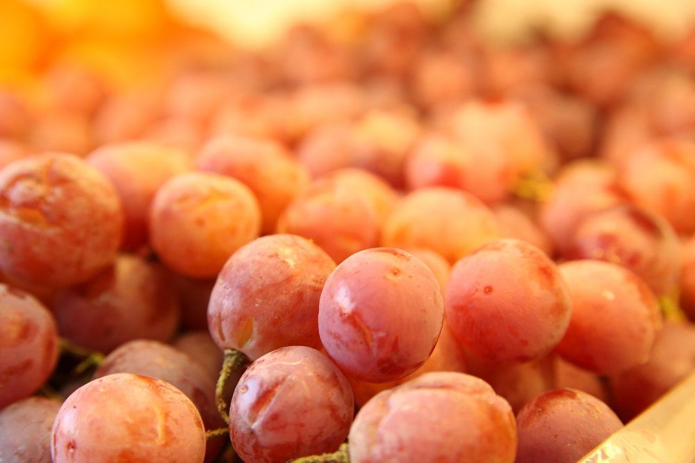 Photograph by Febin Francis