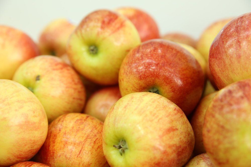 Photograph by Febin Francis